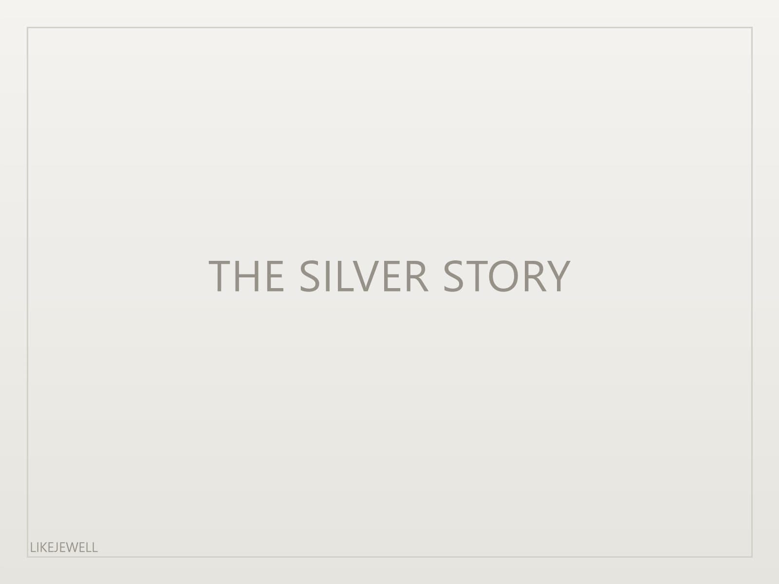 THE SILVER STORY